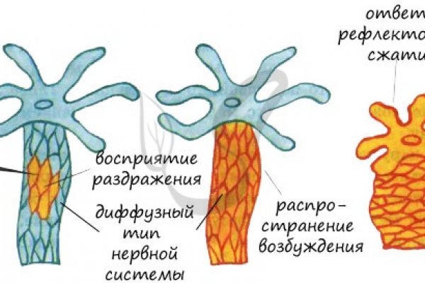 Вход в кракен