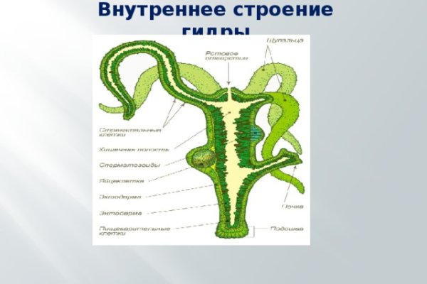 Что такое кракен маркетплейс курительный смесс