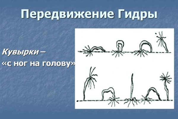 Кракен онион даркнет площадка