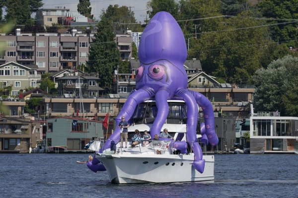 Kraken url