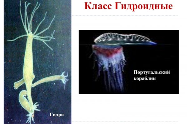 Кракен площадка нарко