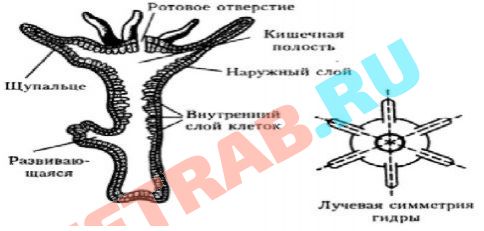 Как восстановить страницу на кракене